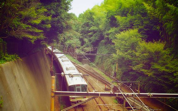电视剧鹏飞和安岳的结局