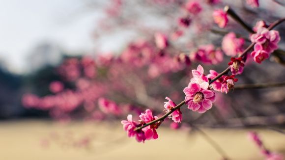 非诚勿扰2 电影结局