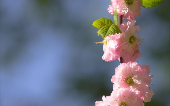 电视剧游乐园剧情